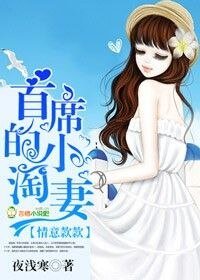 情意款款，首席的小淘妻/专属宝贝，总裁的小淘妻