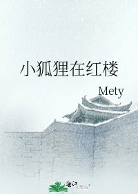 《小狐狸在红楼》