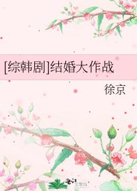 [综韩剧]结婚大作战